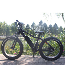 2020  350w mountain bike EEC electric bicycle fat tire